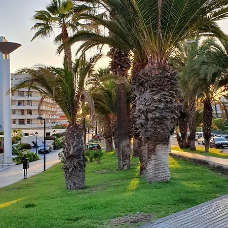 Apartment Spectacular Renovated Apartment, 5 Min To Camison Beach, With Aircon *