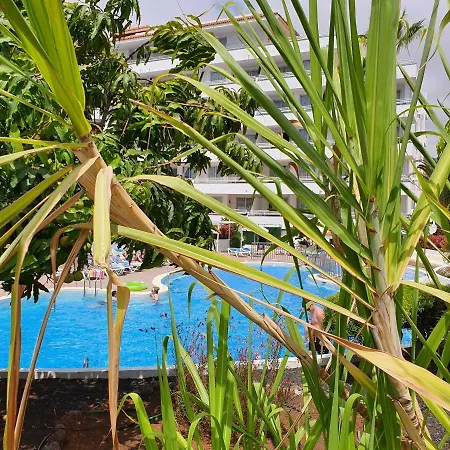 Appartamento Spectacular Renovated Apartment, 5 Min To Camison Beach, With Aircon